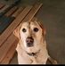 Dave Hefty - Facebook