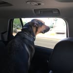David Hefty - @david.hefty - Instagram