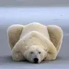 davidhegedus366 - @davidhegedus366 - TikTok