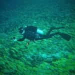David Heim - @dive.david - Instagram