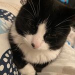 David Helland Førde - @davidhforde - Instagram