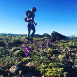 David Hellewell - @gustycrosswinds - Instagram