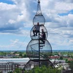 David Helling - @thedilfchannel - Instagram