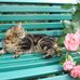 David Heilman - Facebook