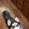 David Hemmert - @david.hemmert5 - TikTok