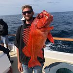 David Hemminger - @davidhemminger - Instagram