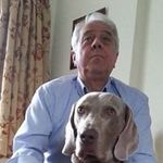 David Herbert - @david.herbert.733 - Instagram