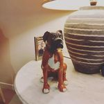 David Herbert - @davidherbertpoterie - Instagram