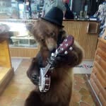 David Herendeen - @davidherendeen14 - Instagram