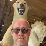 David Heritage - @chesterthespringador - Instagram
