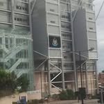 David Herridge - @herridgedavid - Instagram