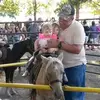David Hess - @david.hess4 - TikTok