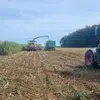 David Herzner - @davidherzner - TikTok