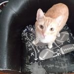 David Heupel - @heupeldavid - Instagram