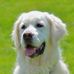 David Heuser - Facebook