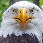 David Heuss - @dmheuss - Instagram