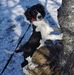 Dave Huestis - Facebook