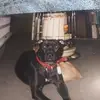David Shew - @david.shew - TikTok