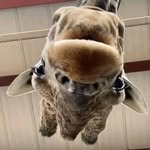 David Hewes - @davidhewes2112 - Instagram