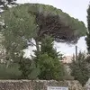 davidheysecom - @davidheysecom - TikTok