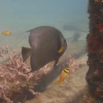 David Hibbs - @littledhibbs - Instagram
