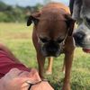 David Hickling573 - @davidhickling573 - TikTok