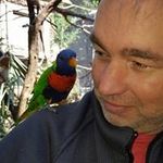 David Hickox - @hickoxdavid - Instagram