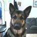 David Hickson - Facebook