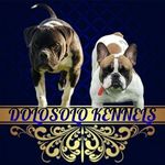 David Hickson - @dolosolo_kennels - Instagram