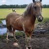 David_hier - @david_hier - TikTok