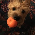 davidhighfill - @davidhighfill1 - Instagram