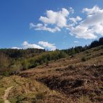 @david_highland_ - Instagram