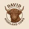 David Highland Cows - @davidhignlandcows - TikTok