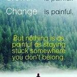 David Walter Hikes - @davidwalterhikes - Instagram