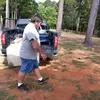 David Hilburn - @david.hilburn8 - TikTok