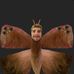 David Hilderman - Facebook