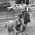 David Hiles - Facebook