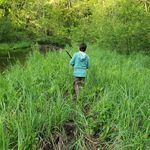 David Hiles - @hilesdavid - Instagram