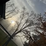 David Hill - Facebook