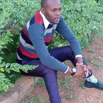 David Hillary - @david.hillary.52056 - Instagram