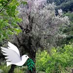 David Hillstrom - @davidhillstromauthor - Instagram