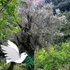 David Hillstrom - @david.hillstrom - TikTok