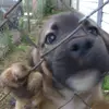David Himes - @david.himes5 - TikTok