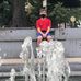 David Hirsh - Facebook