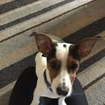 David Hirst - @hirst_david - Instagram