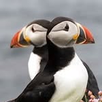 David Hirst - @davidhirst2011 - Instagram