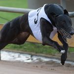 David Hirst - @smartmissileatstud - Instagram