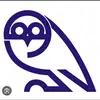 Owls Since 81 - @davidhirst9 - TikTok