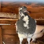 David john Hockaday - @davidjohnhockaday - Instagram