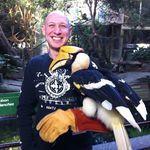 David Hoffert - @therealdavidpop - Instagram